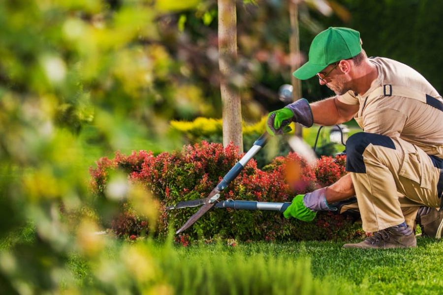 Grünflächen-Service